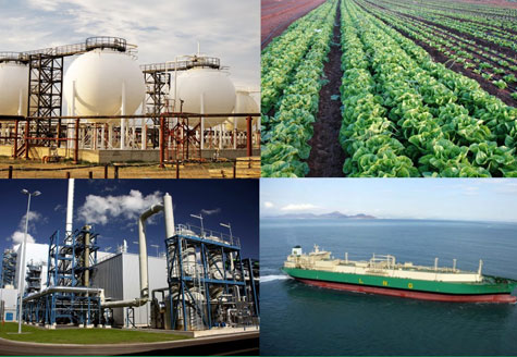 Nigerian National Gas Policy