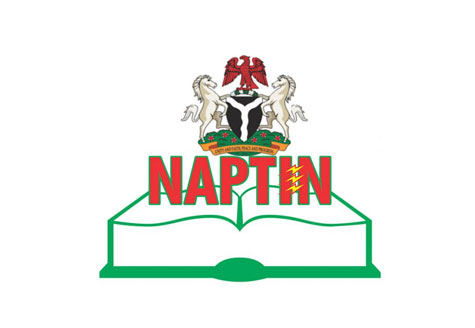 NAPTIN Business Plan, Nigeria