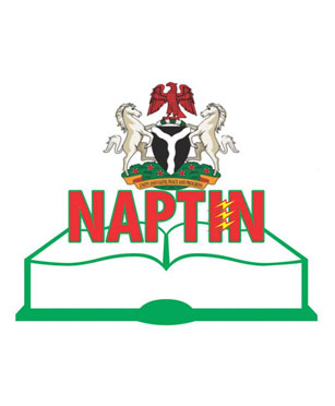 NAPTIN Business Plan, Nigeria
