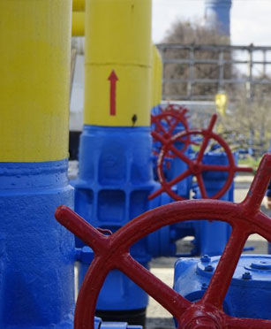 Gas Expert to Energy Regulatory Commission, Ukraine