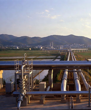 China Gas Market Research