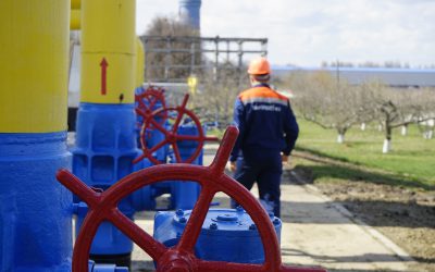 Gas Expert to Energy Regulatory Commission, Ukraine