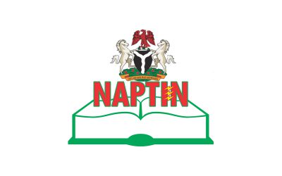 NAPTIN Business Plan, Nigeria